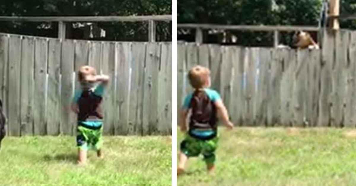 Zweijähriger wirft Ball über den Zaun – Sekunden später fängt Kamera den ein, der ihn zurückwirft	