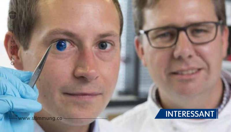 Britische Wissenschaftler haben zum ersten Mal 3D-gedruckte Hornhäute für das menschliche Auge geschaffen!