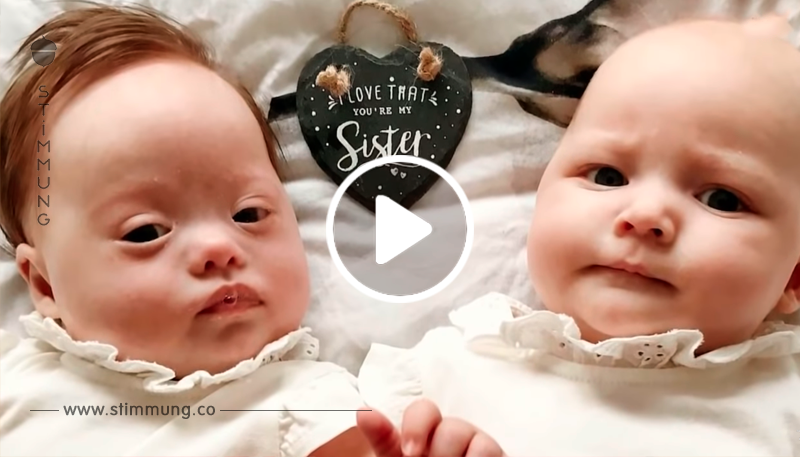 Zwillinge werden vorzeitig geboren – 30 Minuten später sagt der Arzt: 