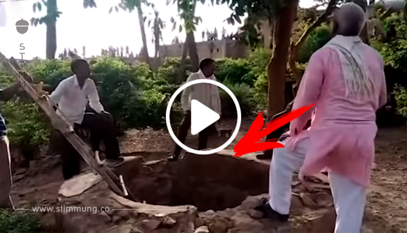 Die Gruppe von Affen versammelte sich um einen Brunnen und schrien – damit Menschen ihnen zur Hilfe kommen	