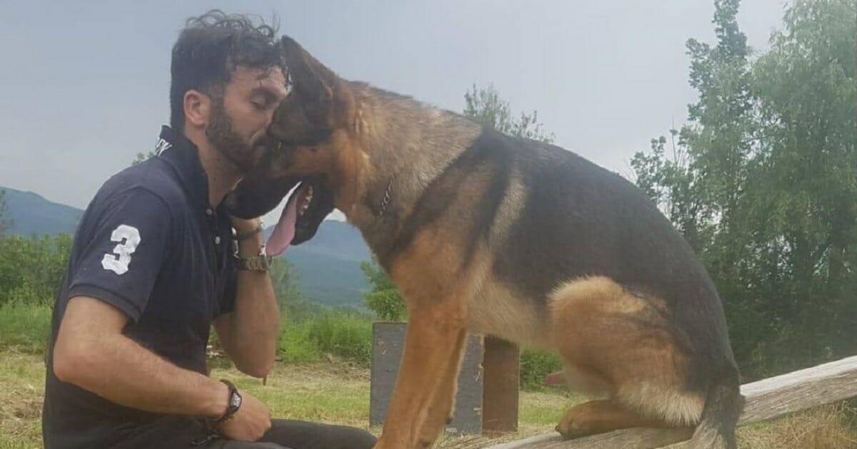 Nach dem Erdbeben war er Italiens  Helden Hund  – nun hat ihn jemand mit Gift getötet	