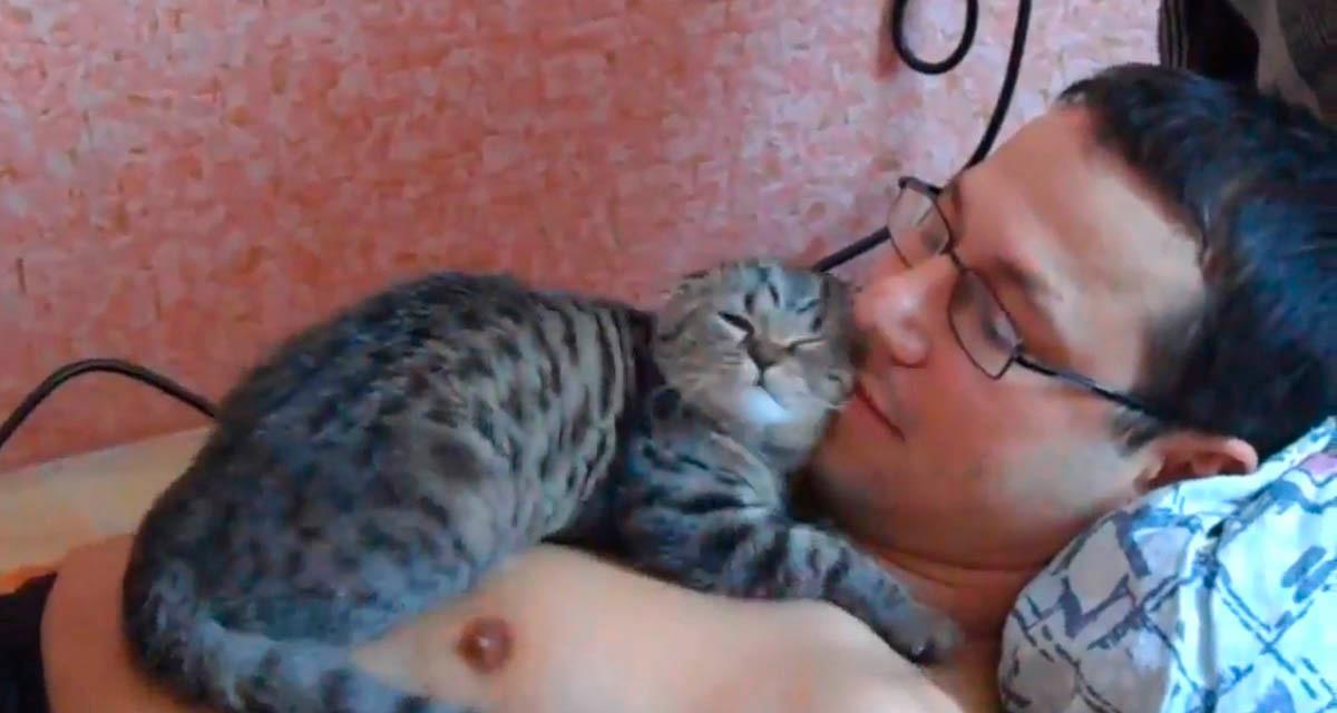 Die Katze beschloss, dem Besitzer ihre Liebe zu zeigen. Das ist etwas!
