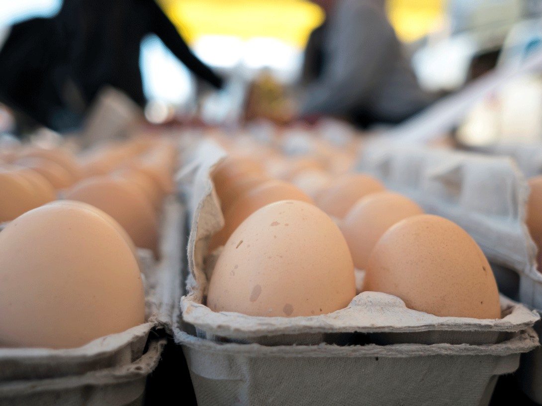 Rückruf: Salmonellen in Eiern dieser 3 Supermarktketten	