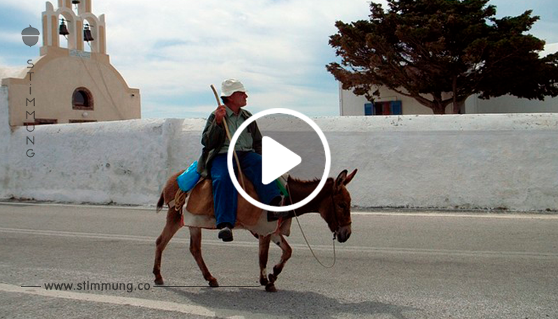 Auf der griechischen Insel Santorini brechen Esel durch schwere Touristen ein	