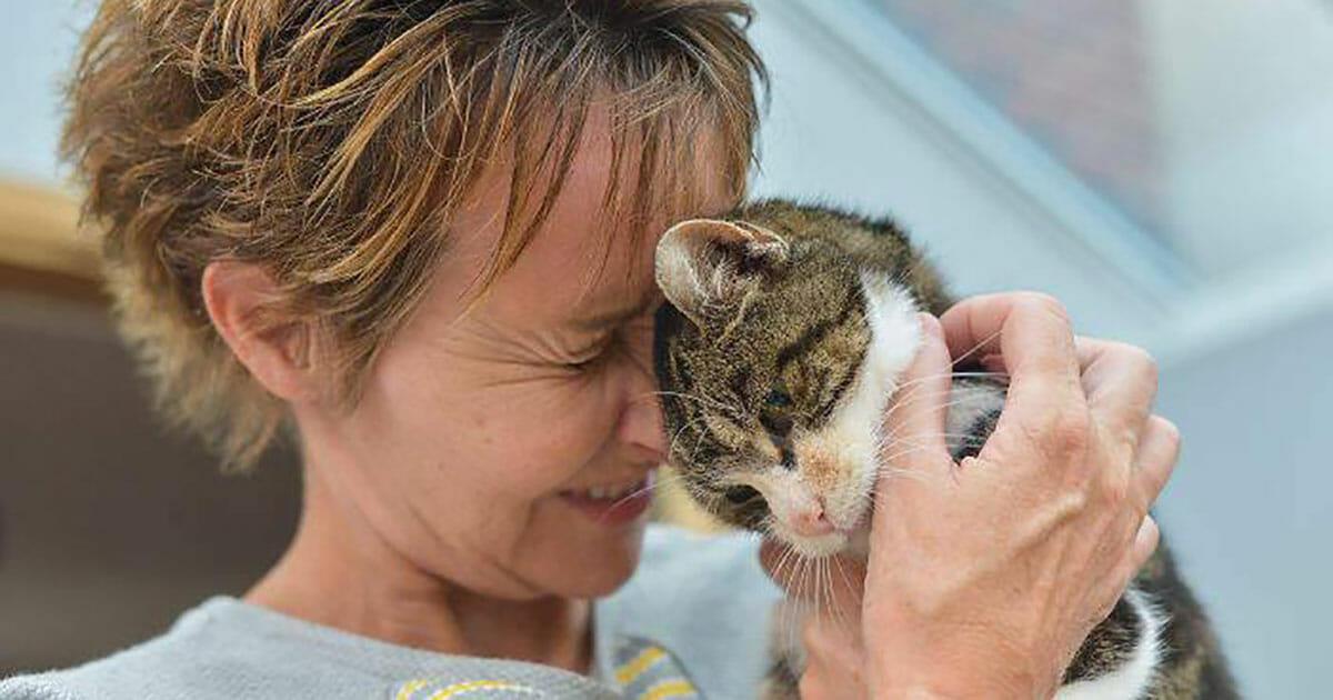 Unglaublich: Katze findet zurück nach Hause – 13 Jahre nach ihrem Verschwinden