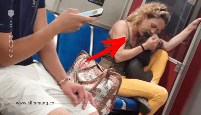 Eine Frau misshandelt ihren Hund in der U Bahn, bis ihr empörte Fahrgäste eine Lektion erteilen