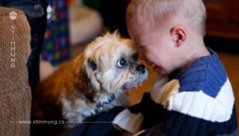 25 Bilder zeigen, dass Kinder Haustiere haben sollten.