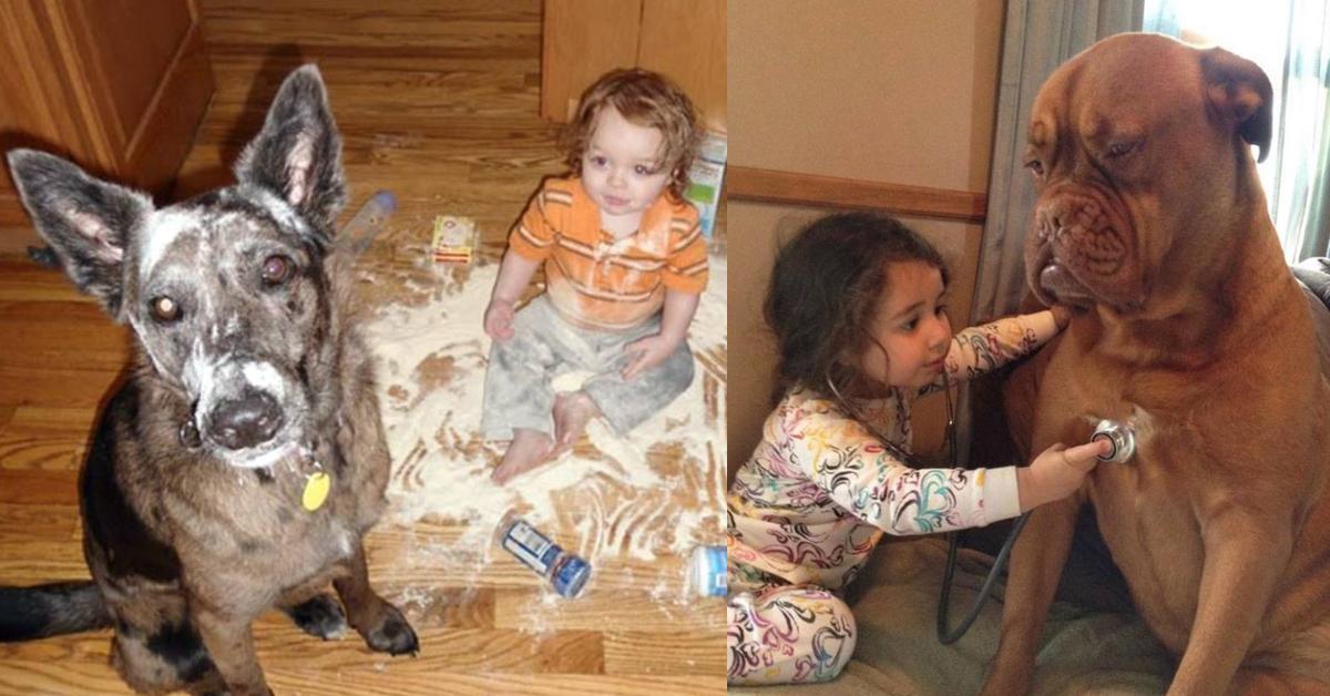 21 Bilder, die beweisen, dass Hunde gut für Kinder sind.