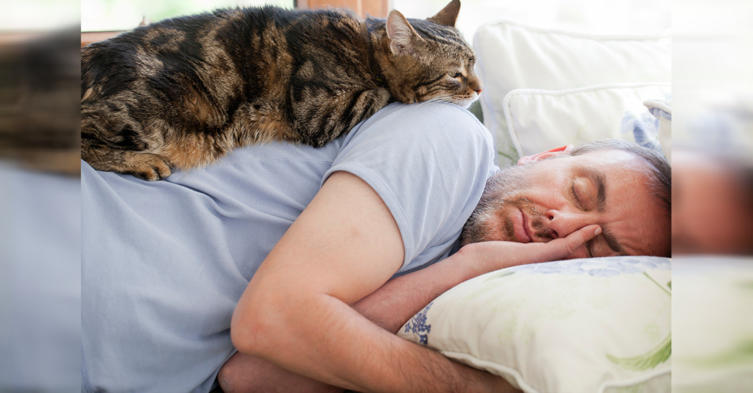 Was tun, wenn die Katze euch nicht schlafen lässt? Diese Tipps helfen!	