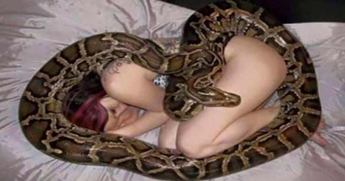 Frau schläft jede Nacht mit Python: sie hört auf zu fressen – Tierärztin erkennt die schlimme Wahrheit