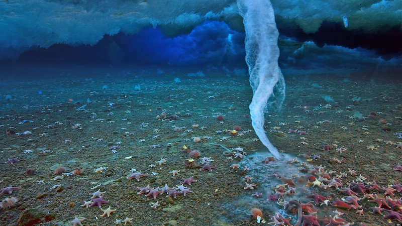 Brinicle   ,,Finger des Todes,, oder Eis Stalaktiten am Meeresboden