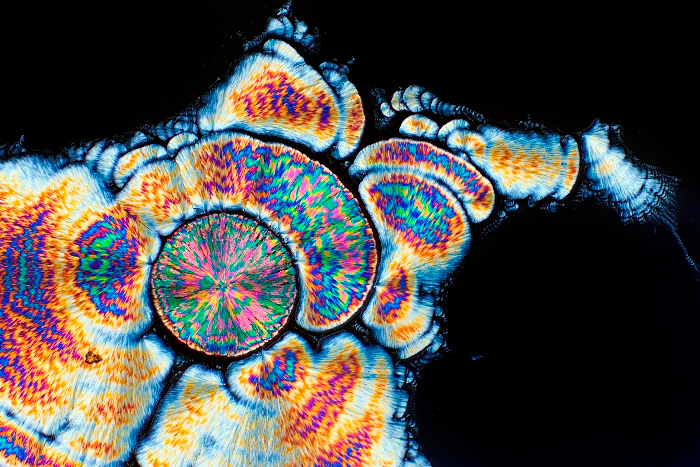 Die Schönheit von Vitamin C unter dem Mikroskop
