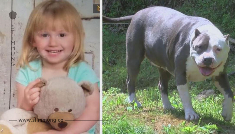 Hund beschützt fast 2 Tage lang vermisste 2-Jährige im Wald.	