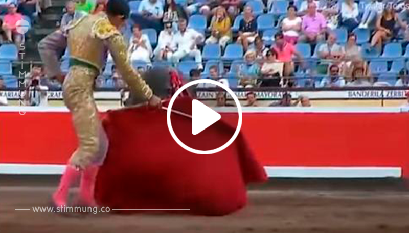 Spanischer Stierkämpfer Saul Jimenez Fortes wird bei einem Stierkampf aufgespießt
