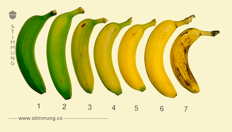 Welche Banane würdest Du essen? Die Entscheidung kann sich auf Deine Gesundheit auswirken