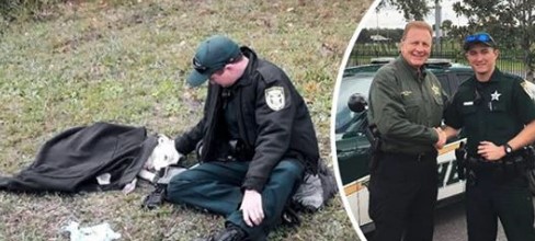 Ein Polizist bleibt stehen, um einen Hund zu trösten, der fast von einem Auto überfahren wurde, und gibt ihm seine Jacke