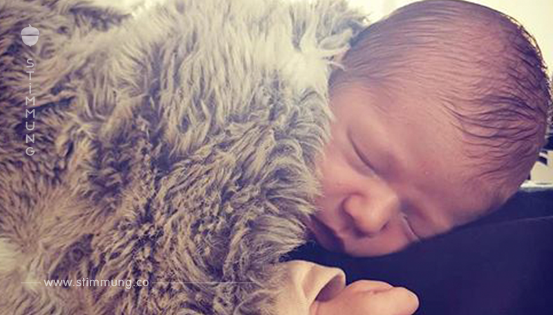 So wunderschön: Inci Sencer total verzückt von ihrem Baby