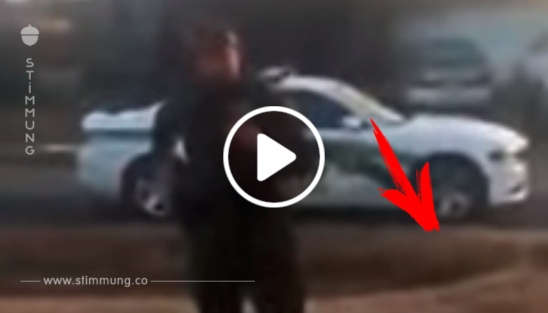 4 kg schweres Hündchen bellt Polizist an – der zieht die Waffe und schießt ihm in den Kopf