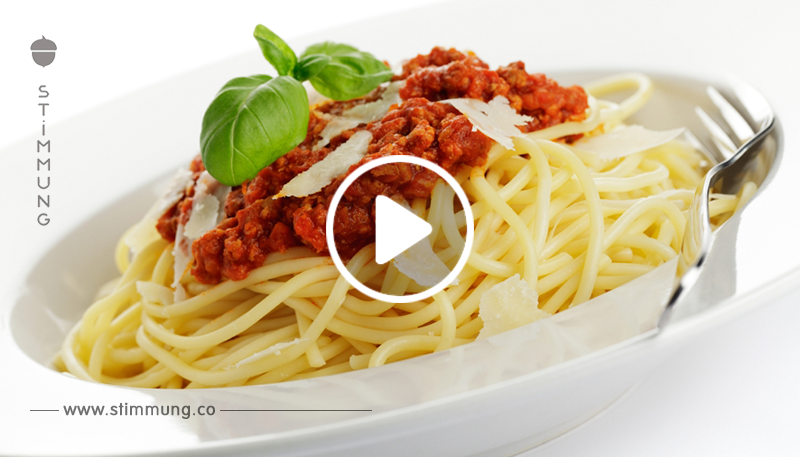 Spaghetti mit Käse   Hackfleisch   Sauce