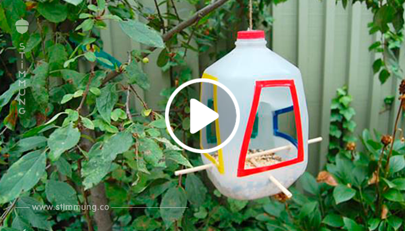 10 Arten, um leere Milchflaschen aus Plastik im Garten zu verwenden.