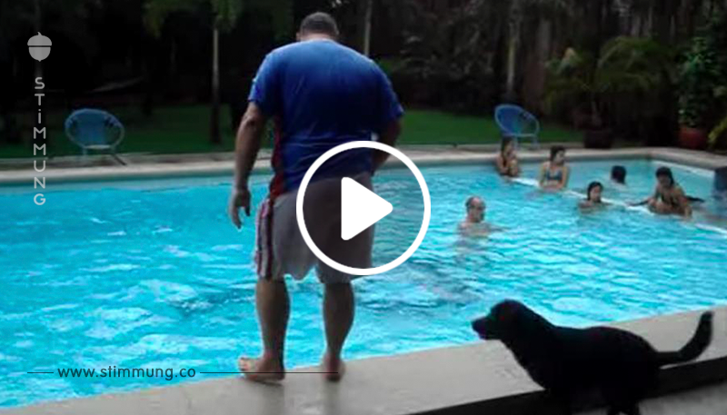 Der Mann steht am Rand des Swimmingpools – aber achtet auf den Hund, der sich heranschleicht!	