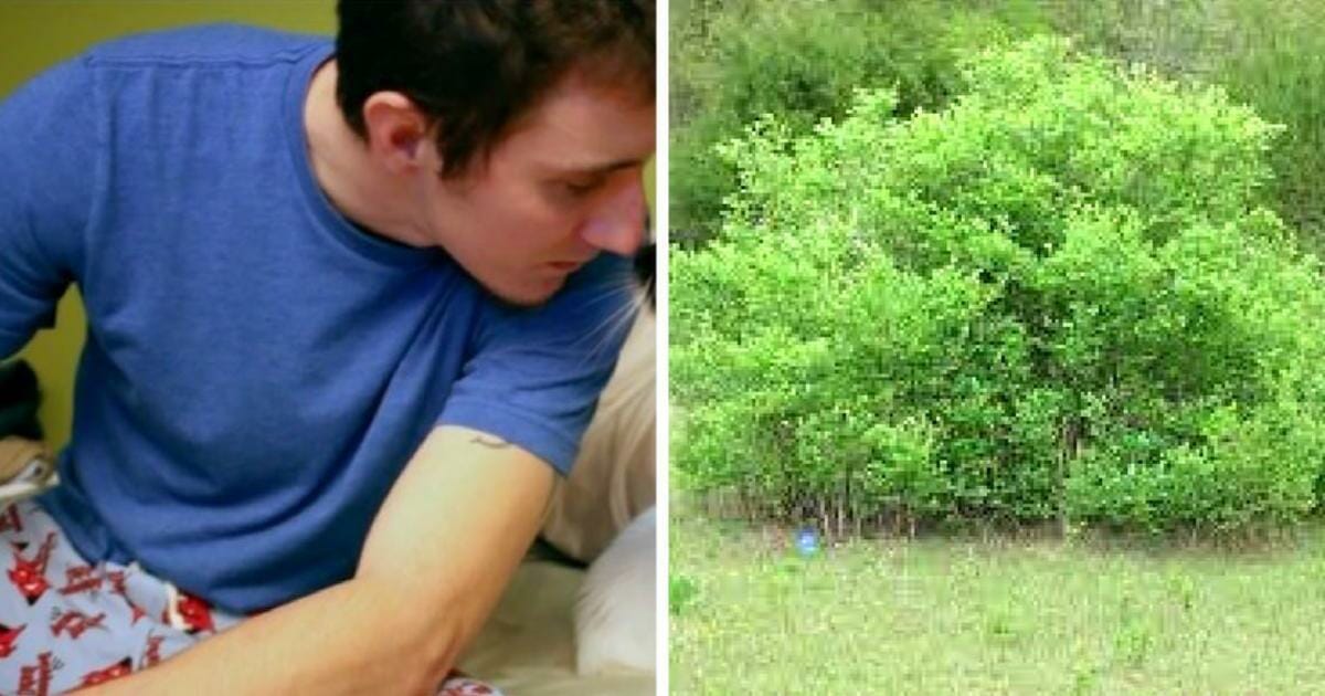 Er raucht letzte Zigarette vor seinem geplanten Selbstmord – da hört er ein Rascheln im Gebüsch