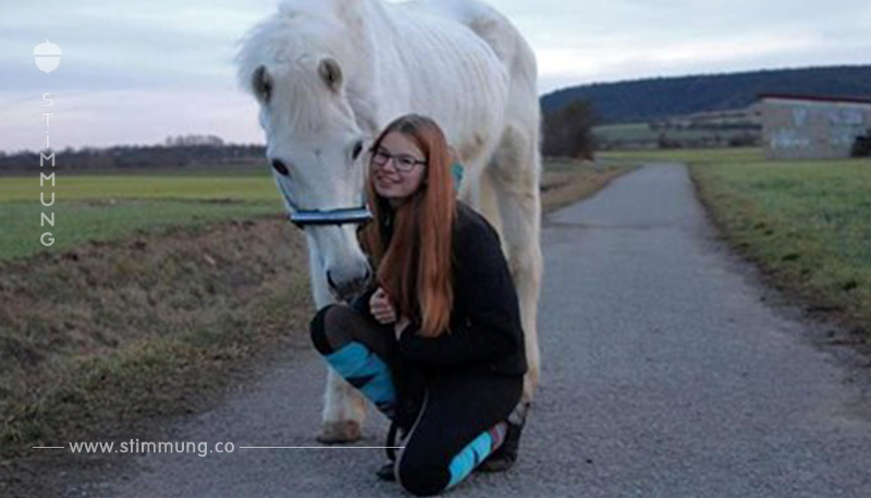 Damit Pferd nicht geschlachtet wird: Kira (18) rettet Sirius das Leben und braucht jetzt Hilfe