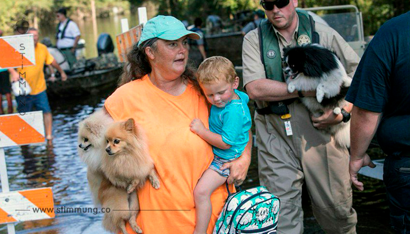 Ohne Erlaubnis Tiere gerettet: Frau verhaftet, weil sie Tiere vor Hurrikan in Sicherheit brachte
