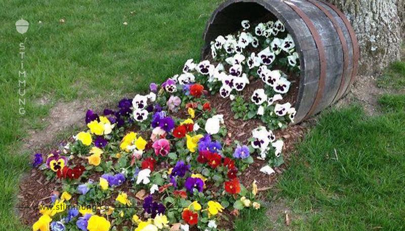 Bist du auf der Suche nach originellen Blumenkastenideen für den Garten? 12 fantastische Ideen…