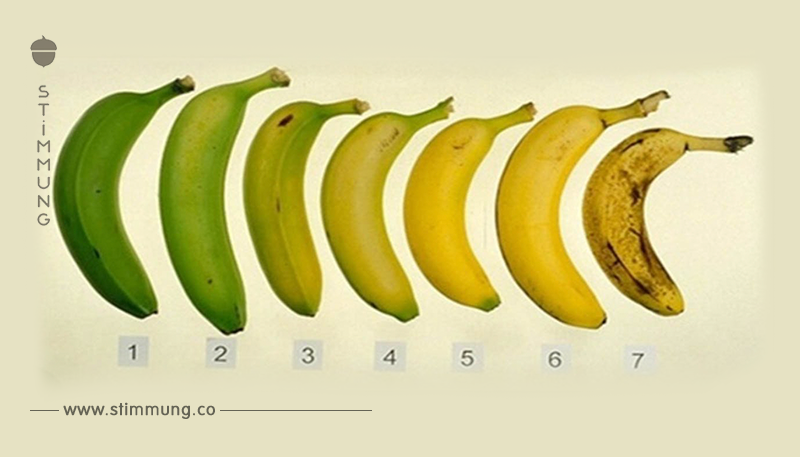 Welche Banane würdest Du essen? Die Entscheidung kann sich auf Deine Gesundheit auswirken