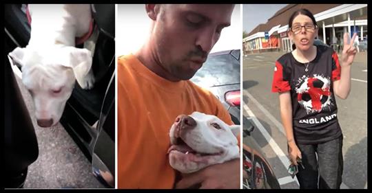 Gerüstbauer befreit Hunde bei über 30 Grad aus verschlossenem Auto und stellt Besitzer zur Rede