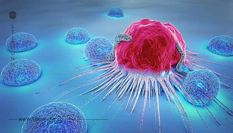 Bei Lymphomen: Wirkstoff treibt Krebszellen in den Tod