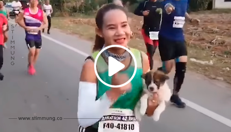 Helferin mit Herz: Marathon-Teilnehmerin rettet ausgesetzten Welpen und trägt ihn 28 Kilometer