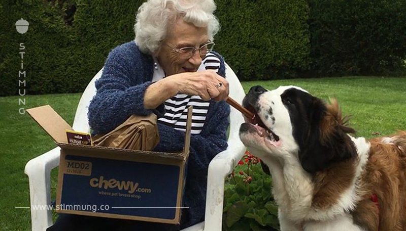 Einsame Witwe bekommt ihre Lebensfreude zurück, seitdem der Hund der Nachbarn sie täglich besucht