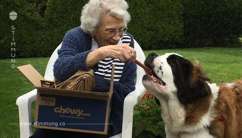 Einsame Witwe bekommt ihre Lebensfreude zurück, seitdem der Hund der Nachbarn sie täglich besucht