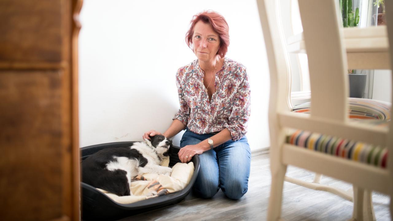 Hund frisst vergifteten Hundeköder in Berlin: „Ich will, dass der Täter bestraft wird“