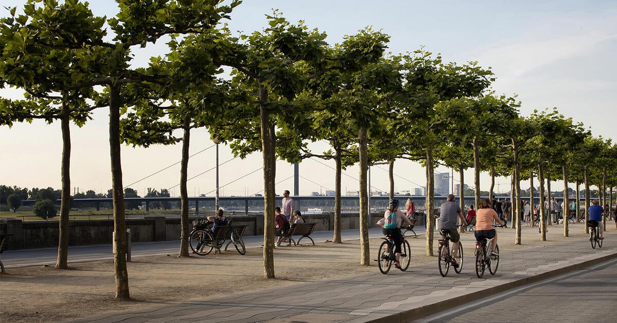 Wird Düsseldorf zum Vorreiter? Politiker will Parkgebühr von Fahrradfahrern verlangen