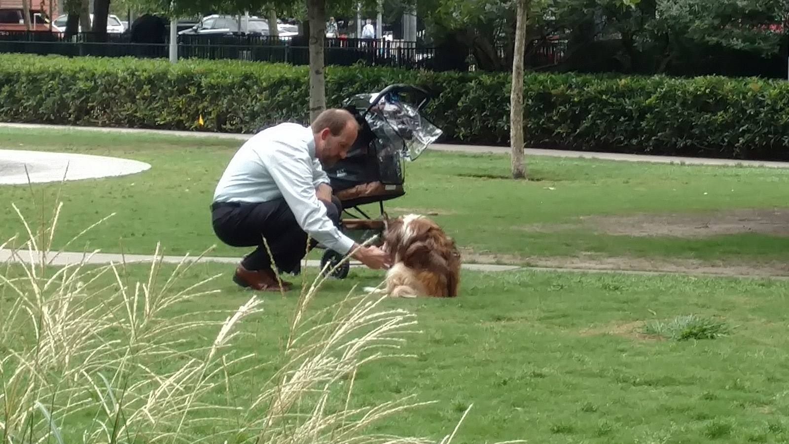 Mann schiebt Hund im Kinderwagen durch Park – Wird beobachtet, wie er ihn aufs Gras setzt