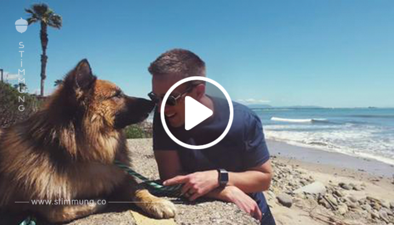 Hund, der sein Leben lang angekettet war und gerettet wurde, sieht den Ozean zum ersten Mal und seine Reaktion wird viral