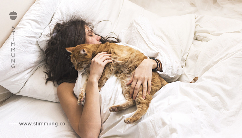 10 Anzeichen dafür, dass Deine Katze Dich wirklich liebt