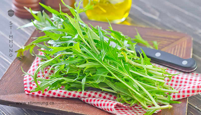 Salat – Was sind die gesündesten und nährstoffreichsten Sorten?
