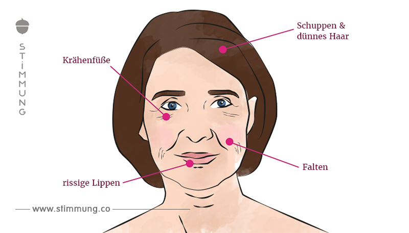 Wie Ihr Gesicht zeigt, was Ihr Körper braucht