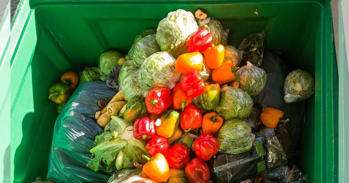 Bremen: Kaufhaus erlaubt Bedürftigen, Lebensmittel aus ihren Mülleimern zu nehmen