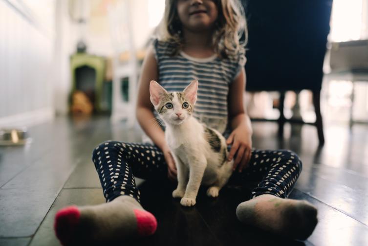Katzen und Kinder: Das solltest Du beachten