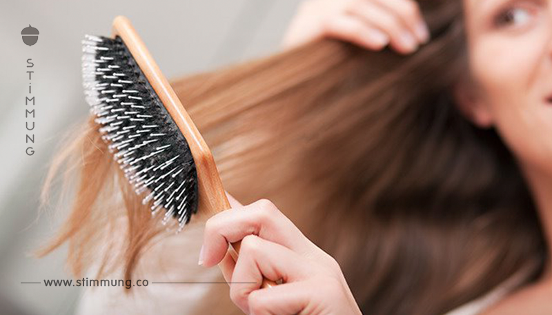 Trockene Haare – die besten Tipps für neuen Glanz