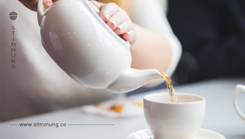 PAs in Tee: Gesundheitsrisiko in der Tasse oder Panikmache?