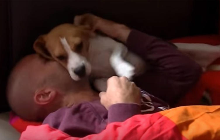 Herzerwärmend: Die Reaktion eines Beagles auf die Rückkehr von Herrchen