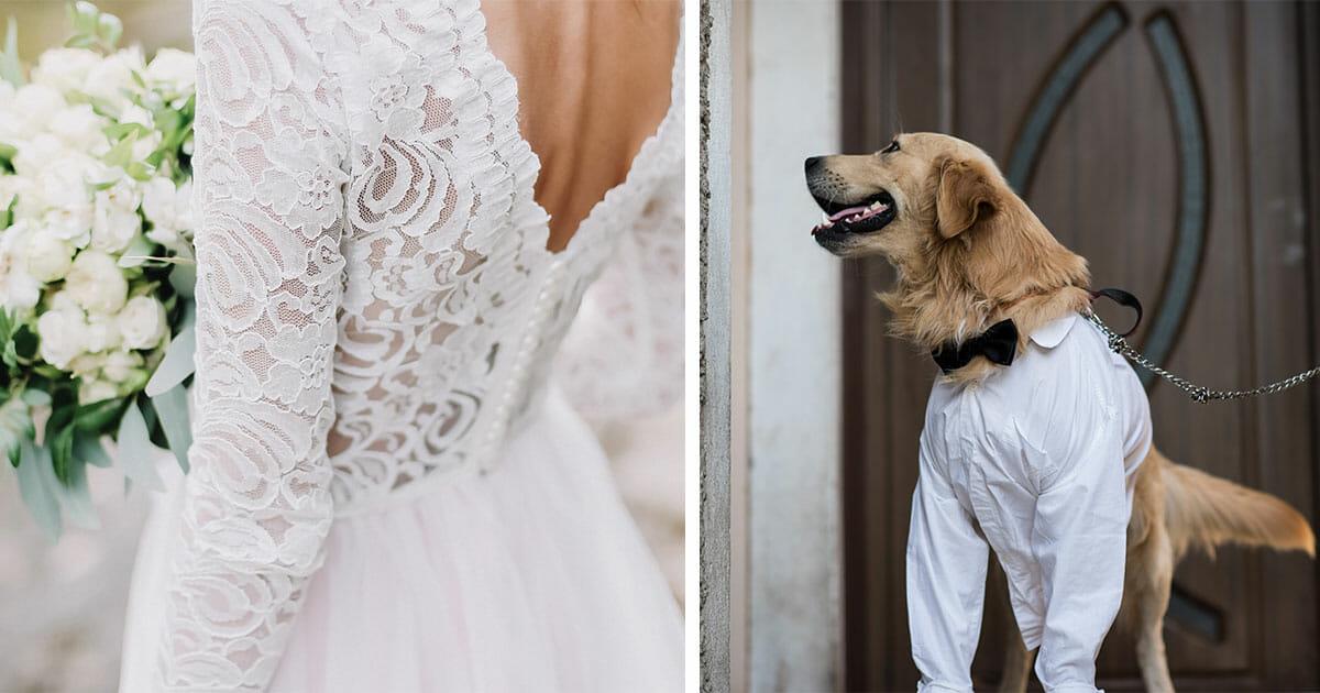 England: Frau hat nach 220 glücklosen Dates mit Männern keine Lust mehr – heiratet jetzt ihren Hund
