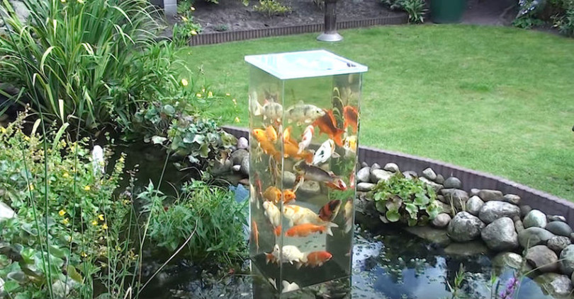 Willst du wirklich von deinen Fischen genießen? Setze eine Glas  oder Plastikschüssel verkehrtherum in den Teich! Wow, das ist wirklich toll um zu sehen!