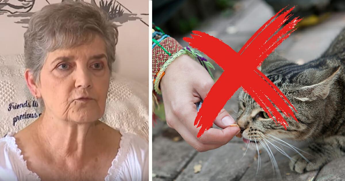 79 jährige Witwe muss ins Gefängnis, weil sie Straßenkatzen fütterte